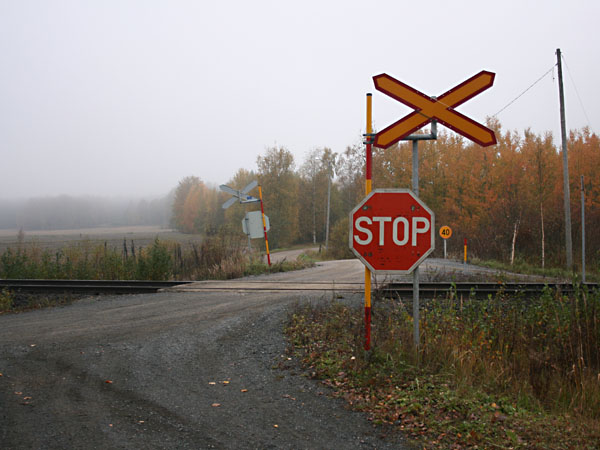 Alanopontien tasoristeys